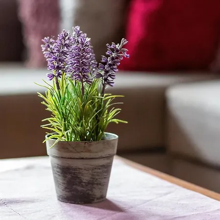 公寓 Atrium Ursus By Renters