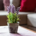 شقة Atrium Ursus By Renters